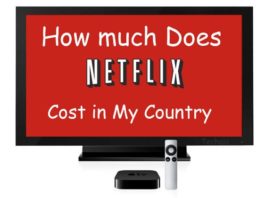 Netflix cost