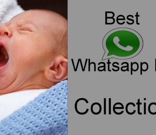 Whatsapp DP images