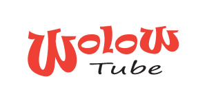  If-you-love-to-watch-movies-then-you-probably-know-about-Wolow-Tube.-Wolow-Tube-is-the-best-site-to-watch-movies-without-downloading-surveys-and-other